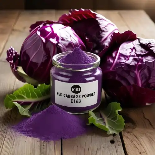 How Red Cabbage Powder E163 Enhances Food and Beverages?